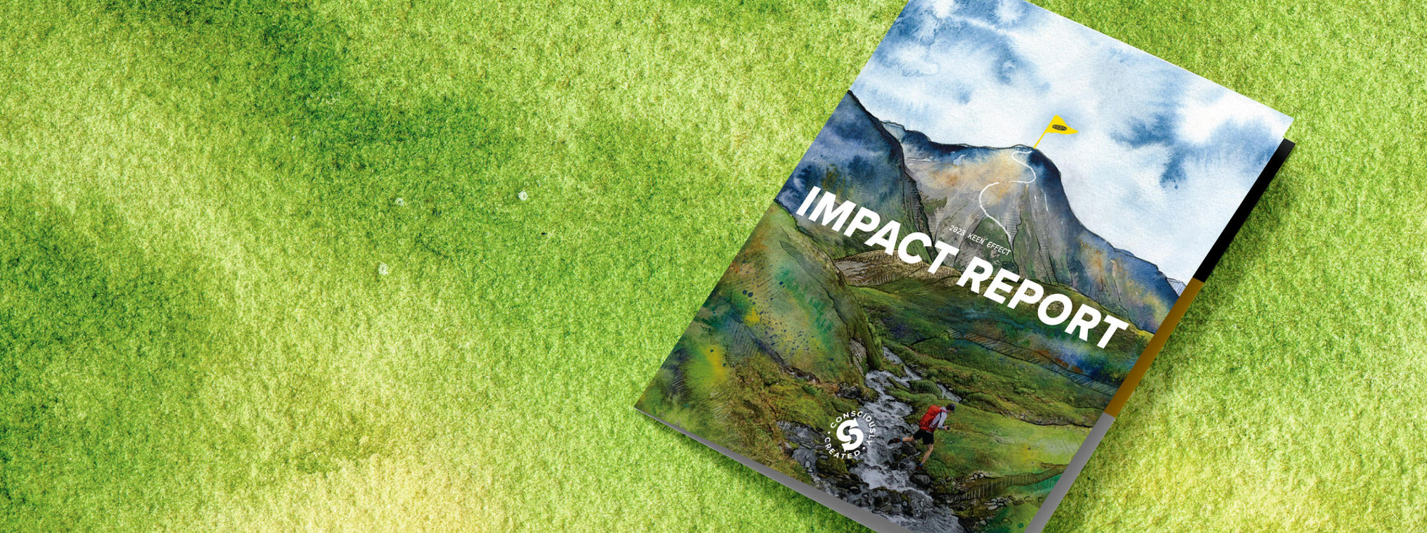 Image of an folder reading "impact report" on a grass background