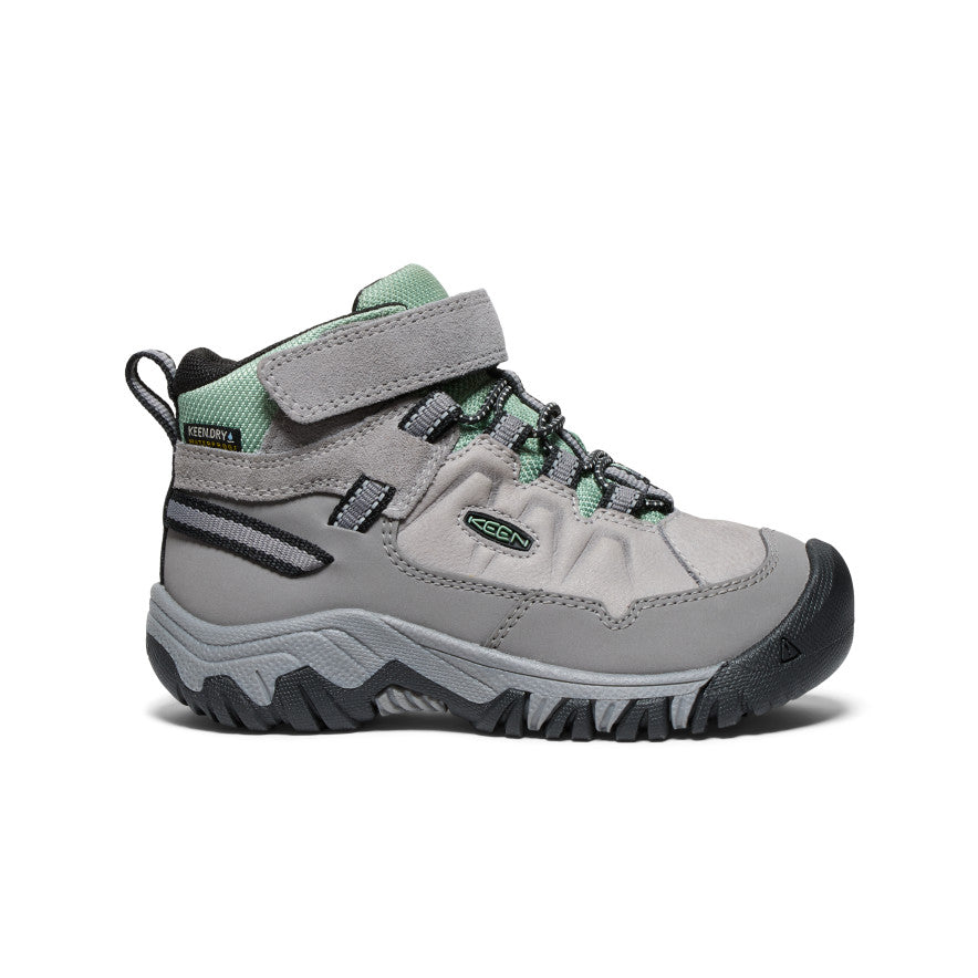Little Kids Targhee IV Waterproof Hiking Boot Alloy Granite Green